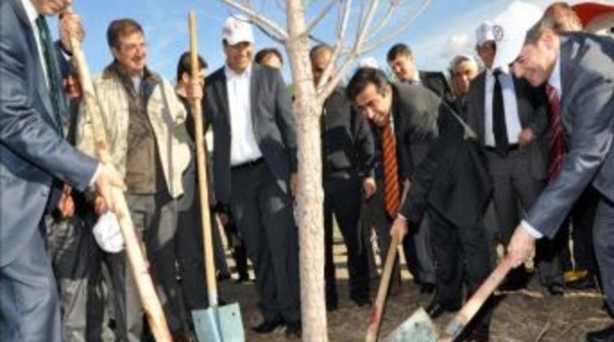 Yangında Tahrip Olan Yeniden Hayat Buluyor