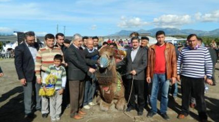 Develer t&ouml;renle havutlandı