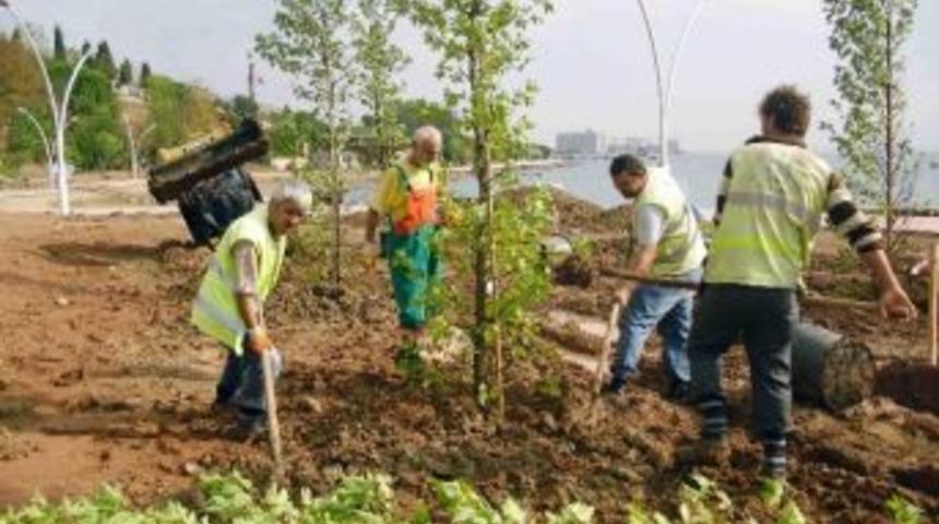 Ağa&ccedil; Timi G&ouml;rev Başında