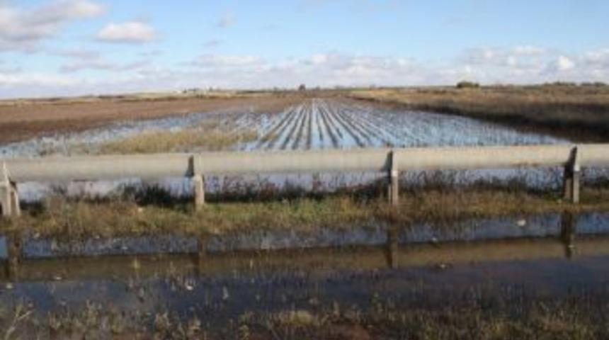 Pamuk Tarlaları G&ouml;le D&ouml;n&uuml;şt&uuml;