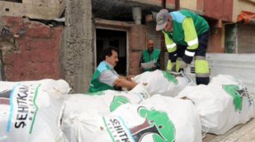 Budanan Ağa&ccedil;lar Vatandaşa Yakacak Oluyor