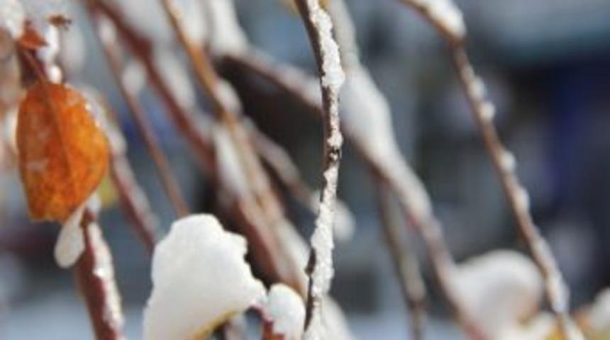 Erzurum&rsquo;da Kar Ve Tipi