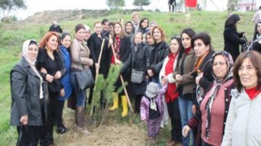 Adana'da "ak Kadınlar Ormanı" Kuruldu