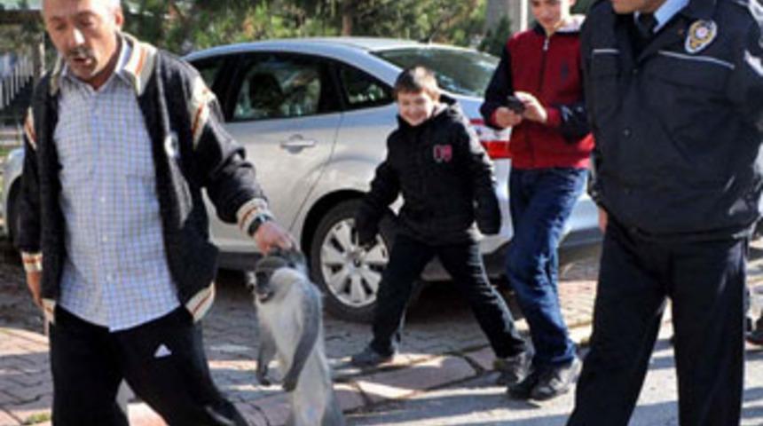 Sokakta maymun saldırdı