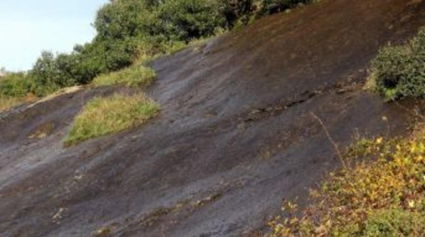 Kurucaşile'nin Sa&ccedil; Taşı