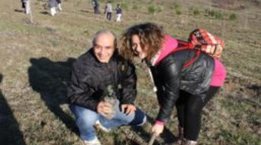 Tekvandocular Orman İ&ccedil;in Fidan Dikti