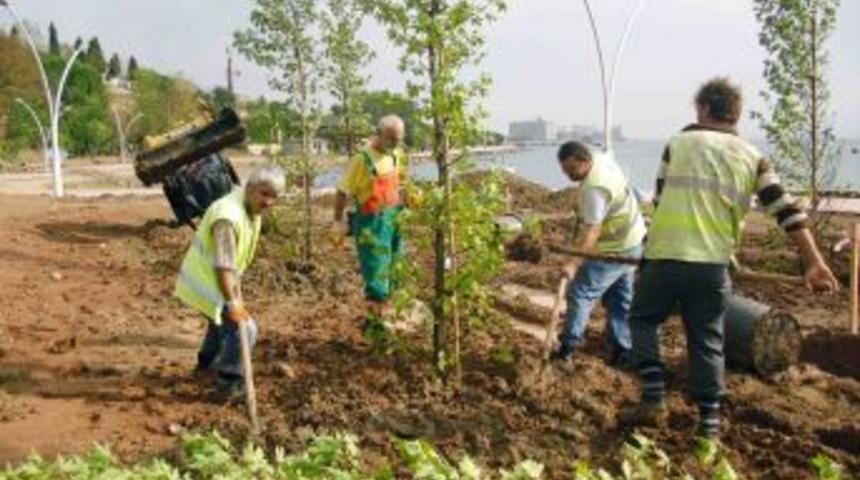 Ağa&ccedil; Timi G&ouml;rev Başında