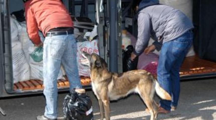 Uşak'ta Yolcu Otob&uuml;s&uuml;nde 750 Gram Toz Esrar Ele Ge&ccedil;irildi