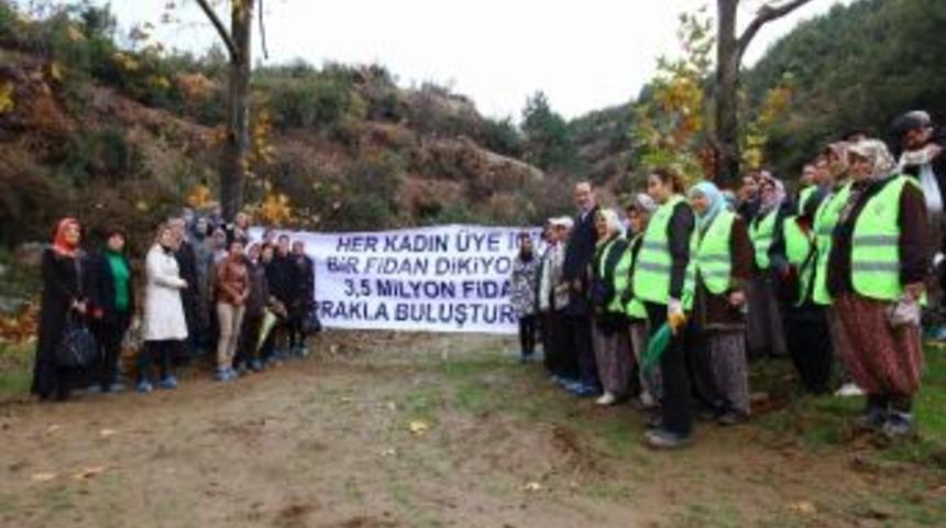 Ak Parti&rsquo;den &Uuml;&ccedil; Milyon Fidan