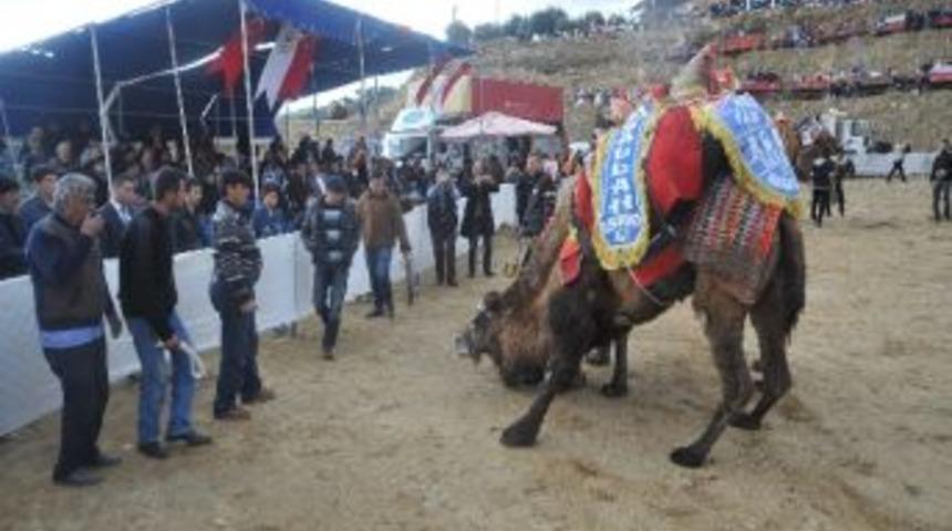 &Ccedil;adır Protokol&uuml;n &Uuml;zerine Yıkıldı