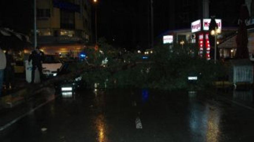 İzmir Şiddetli Yağış: Yollar &Ccedil;&ouml;kt&uuml;, Ağa&ccedil;lar Devrildi