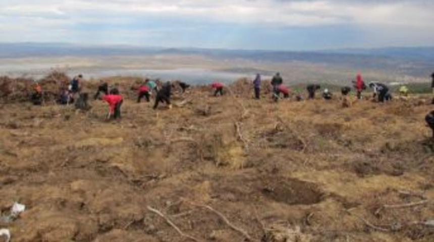 Dağcılar Fırtınada Fidan Dikti
