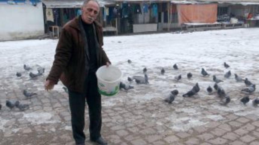 Ardahan'da A&ccedil; Kalan G&uuml;vercinleri Esnaf Besliyor