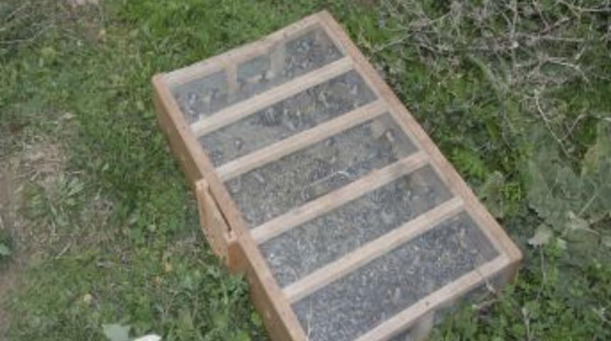 Suriyeliler Tarsus&rsquo;ta Ka&ccedil;ak Av Yaparken Yakalandı