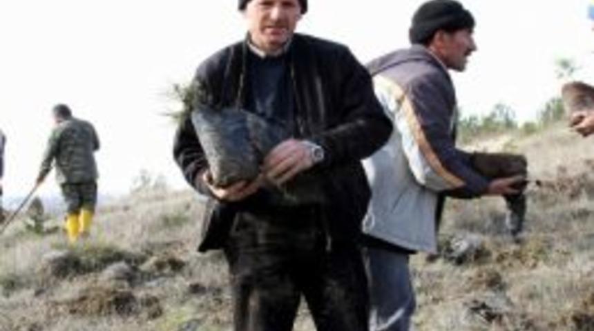 G&ouml;ll&uuml;k&ouml;y Mahalle Halkı Ağa&ccedil; Dikti