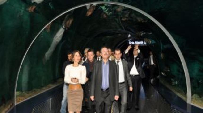 Melih G&ouml;k&ccedil;ek, Yeni Kuracağı Park I&ccedil;in İstanbul Akvaryum'u Gezdi