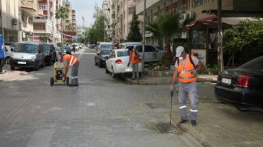 Sinekle M&uuml;cadele Sezonu Sona Erdi