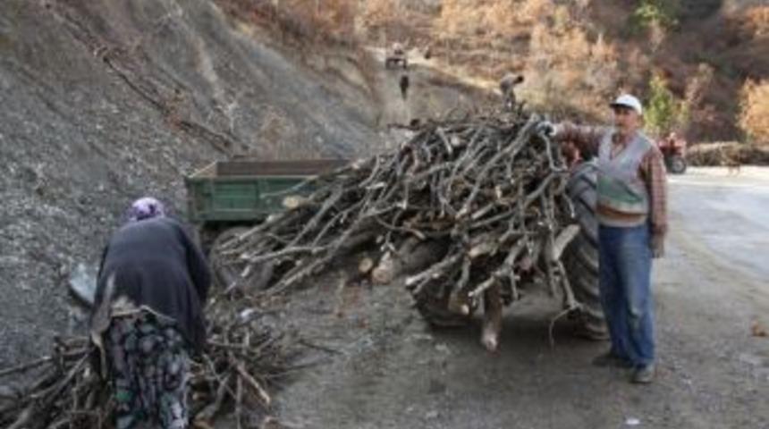 &Ccedil;ubuk'ta 13 K&ouml;yde Orman Bakımı Yapılıyor