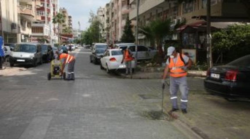 Sinekle m&uuml;cadele d&ouml;nemi sona erdi