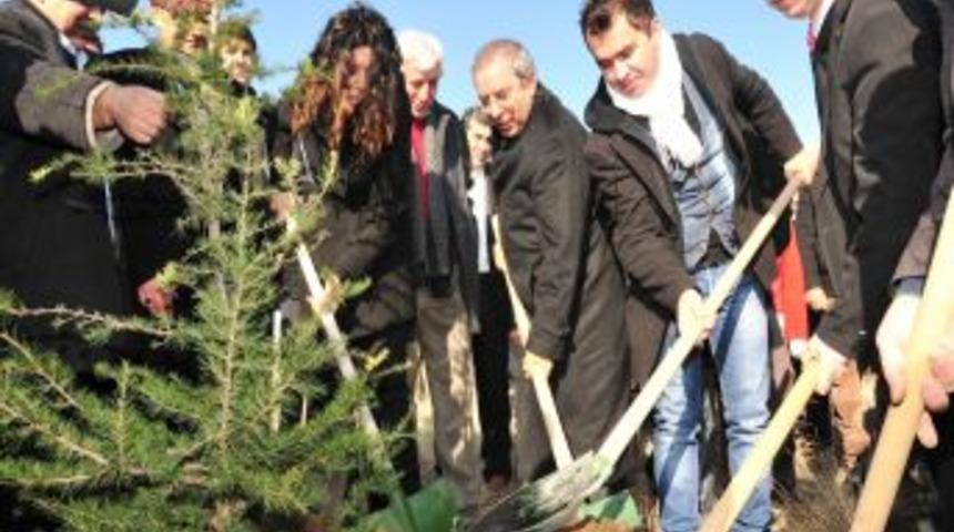 YY&Uuml;'de 30 Bin &Ccedil;am Fidan Toprakla Buluştu