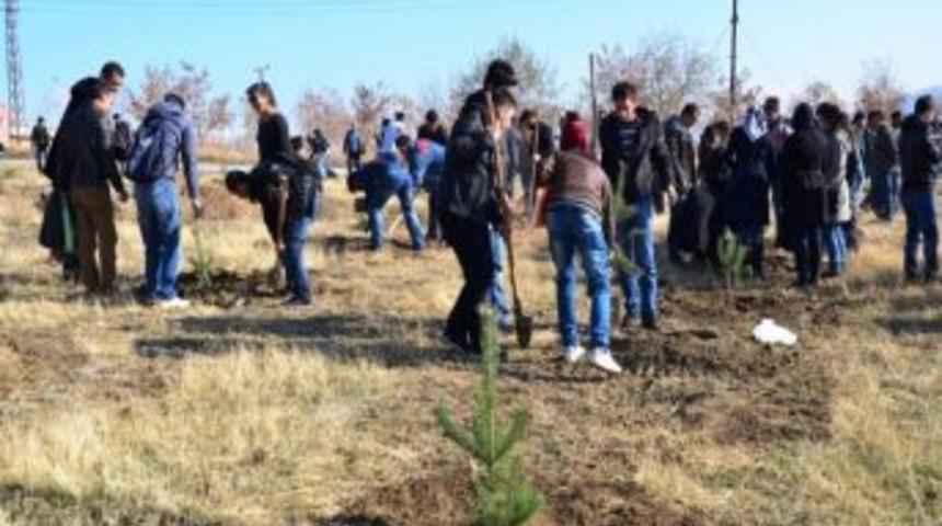 Yy&uuml;&rsquo;de &lsquo;&ccedil;am Bebek&rsquo; Projesi