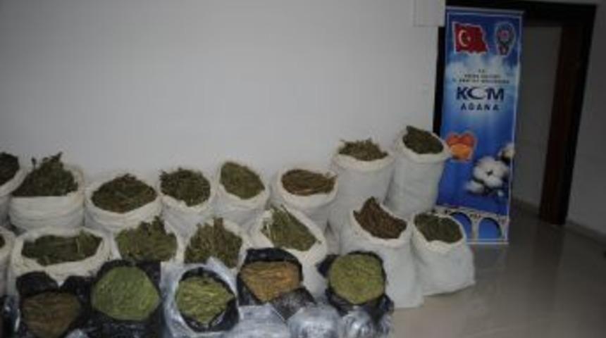 Adana'da 282 Kilogram Esrar Ele Ge&ccedil;irildi