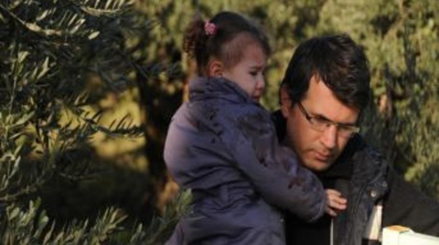 Otomobil Zeytinliğe U&ccedil;tu: 1 Yaralı