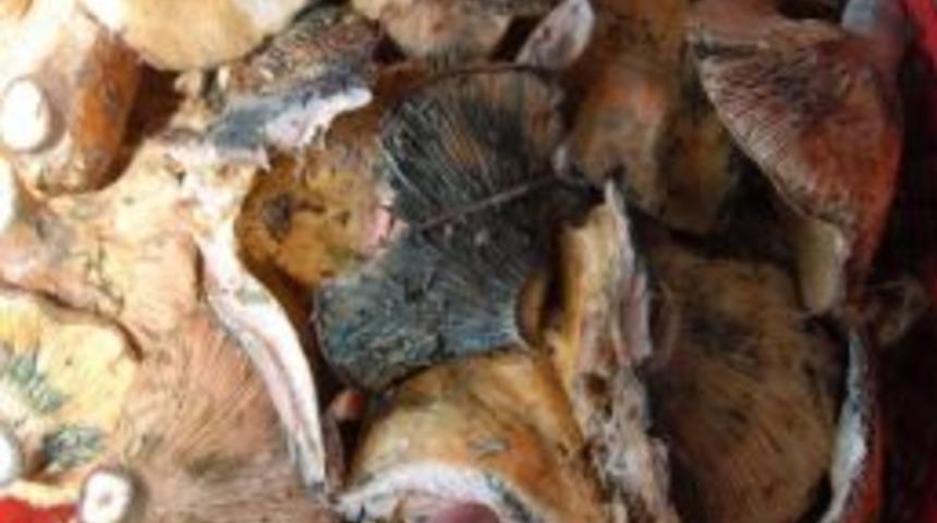 Aydın İl Sağlık M&uuml;d&uuml;r&uuml; Dr. H&uuml;sn&uuml; Tırpancı: