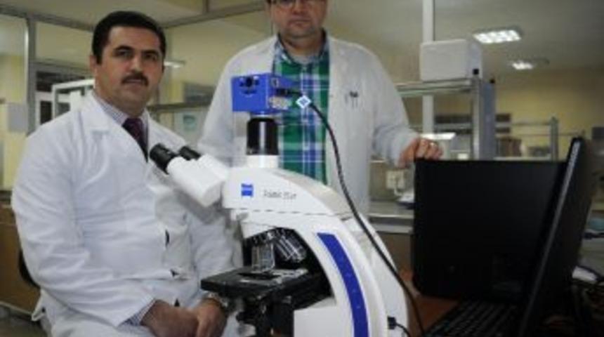 10 Numara Motor Yağı &Ccedil;evre D&uuml;şmanı