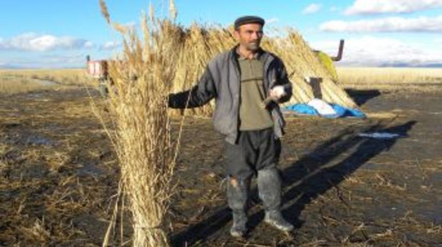 Kamış &Uuml;r&uuml;n&uuml; K&ouml;yl&uuml;n&uuml;n Elinde Kaldı
