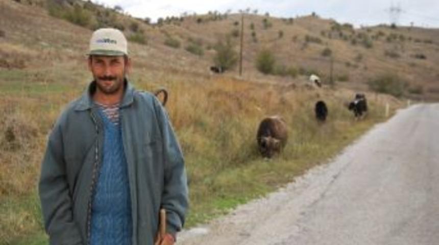 Saman Fiyatları Artınca &Ccedil;obanlar Kıymete Bindi