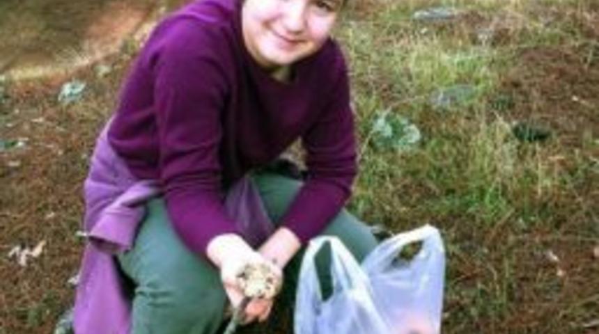 Yangında Kullanılan Siyan&uuml;rl&uuml; Su Sebebiyle Kazdağları&rsquo;ndan Mantar Fışkırıyor