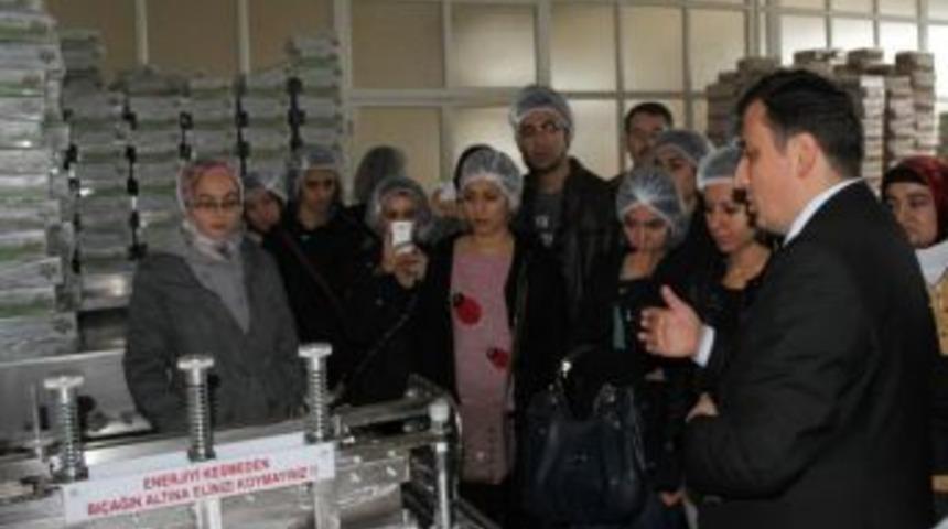 OSTED&rsquo;den &Uuml;niversite &Ouml;ğrencilerine Teknik Gezi