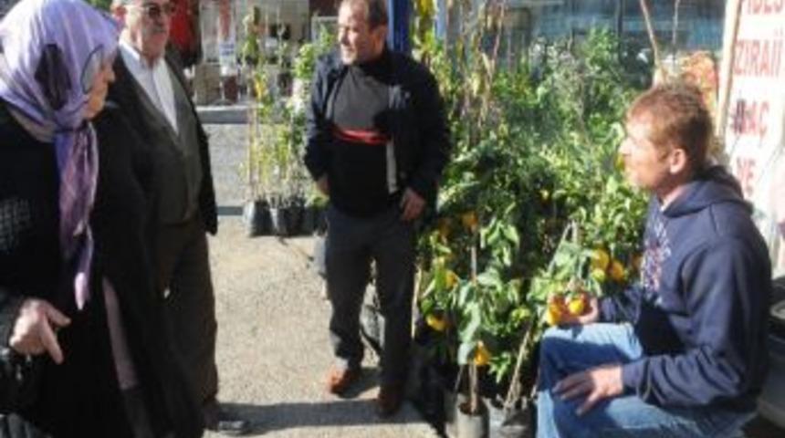 Fidan Satarak 6 &Ccedil;ocuğuna Bakıyor