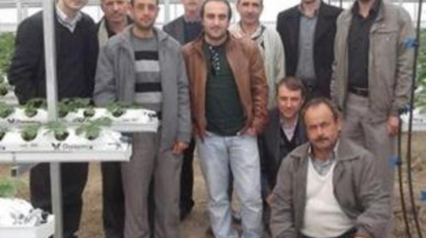 Sermayecik, Antalya fuarında