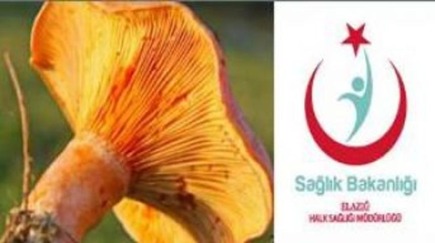 Halk Sağlığı'ndan mantar uyarısı