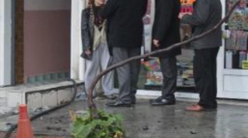 Bursa'da Korkutan Yangın