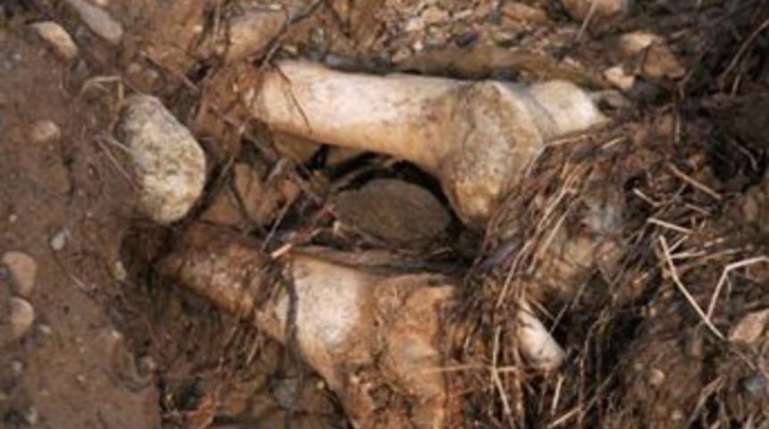 Yağışlar, şehit kemiklerini ortaya &ccedil;ıkarı