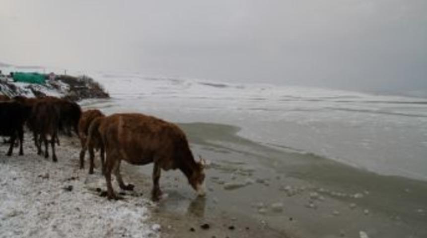 Aktaş G&ouml;l&uuml; Dondu