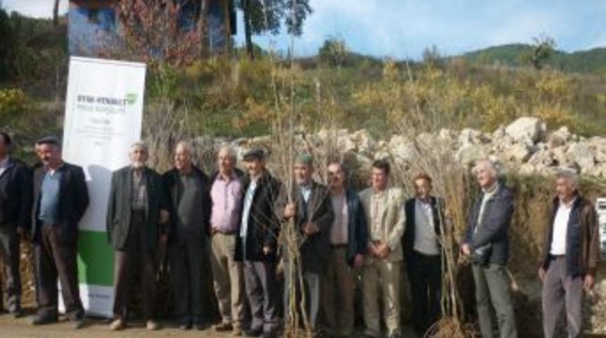 Dağ Köylerine Fidan Desteği