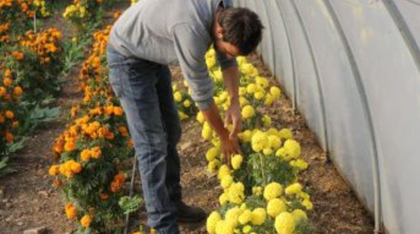 Yılbaşı Yaklaştı Çiçekçilerin Işleri Açıldı