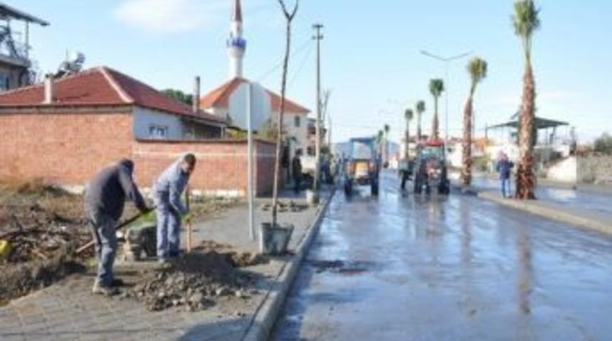 Barış Mahallesi Ağaçlandırıldı