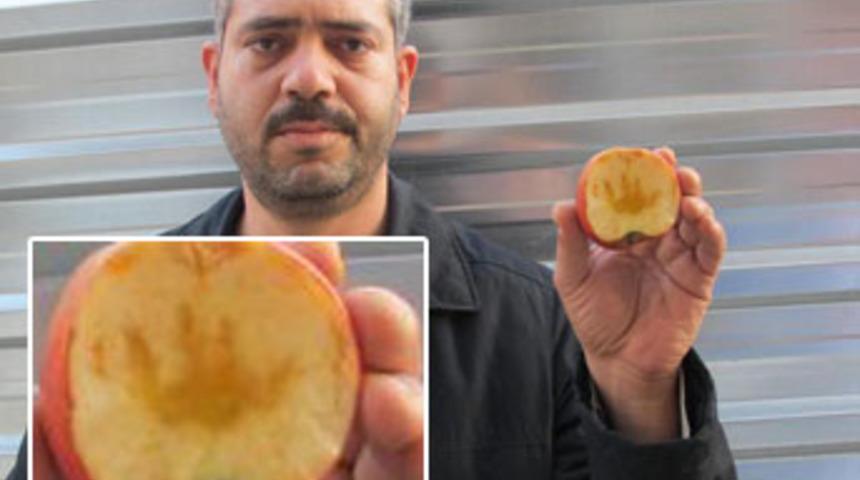 Elmadaki Allah yazısı hayrete d&uuml;ş&uuml;rd&uuml;