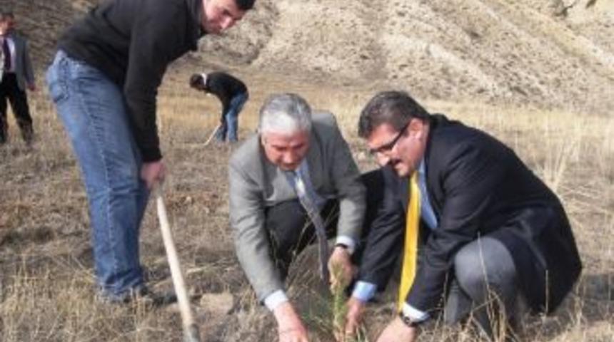 Okullar Hayat Olsun Projesi Kapsamında Nmyo&rsquo;da 500 &Ccedil;am Fidesi Dikildi