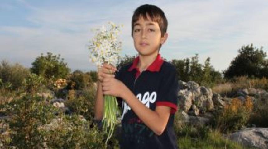 Okul Har&ccedil;lıklarını Kayaların Arasından Topladıkları Nergislerden &Ccedil;ıkartıyorlar