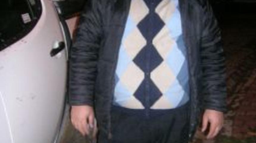 K&uuml;re&rsquo;de A&ccedil; Kalan Kurtlar K&ouml;ye İndi