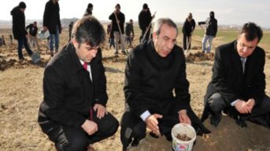 Yy&uuml;&rsquo;de 420 Bin Meşe Palamudu Tohumu Toprakla Buluşturuldu