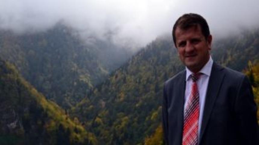 Orman Vasfını Yitirmiş Araziler, &Ccedil;eviz Bah&ccedil;elerine D&ouml;n&uuml;şecek