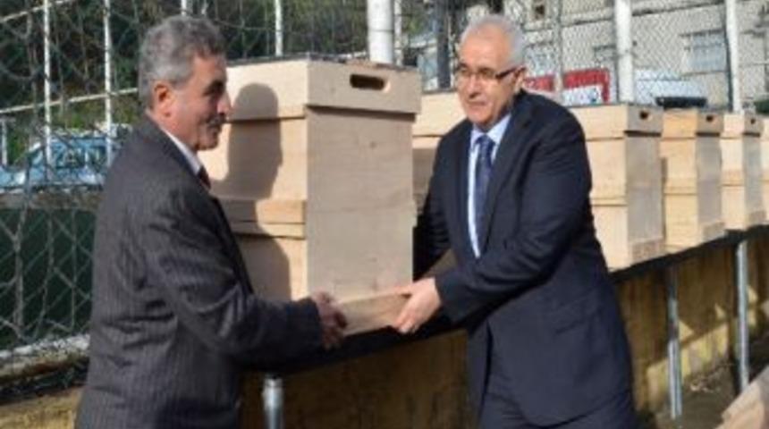 Senoz Vadisinde 30 Çiftçiye 600 Kovan Verildi