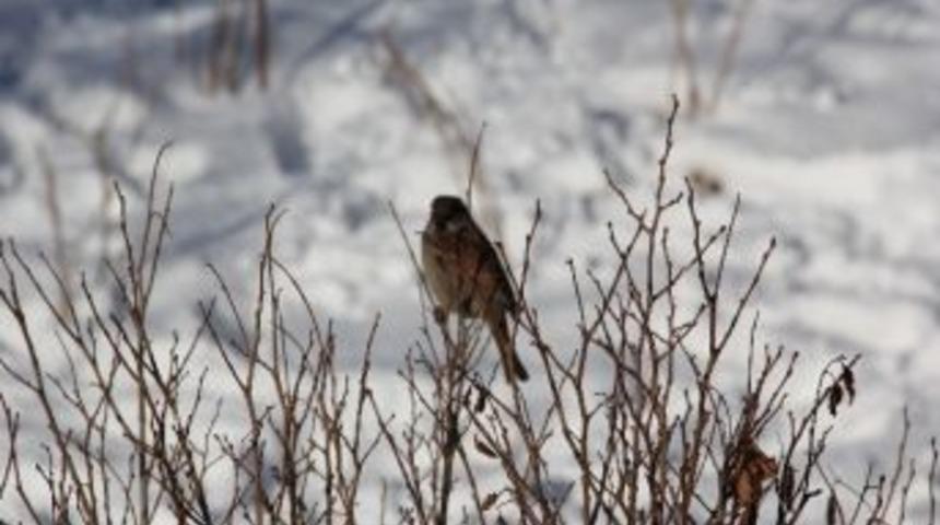 Doğu&rsquo;da Soğuk Hava